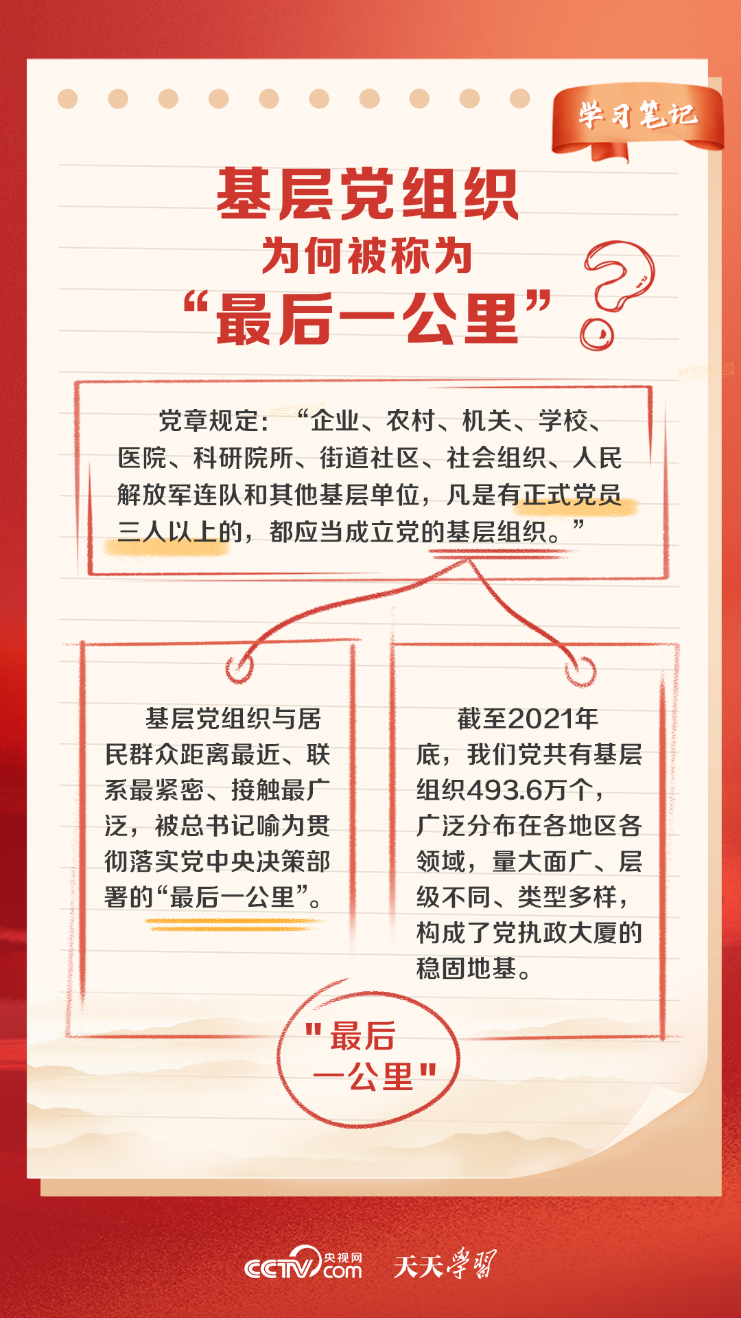 东丽薄膜，全新探索与最新体验——揭秘其所属档次及独特优势