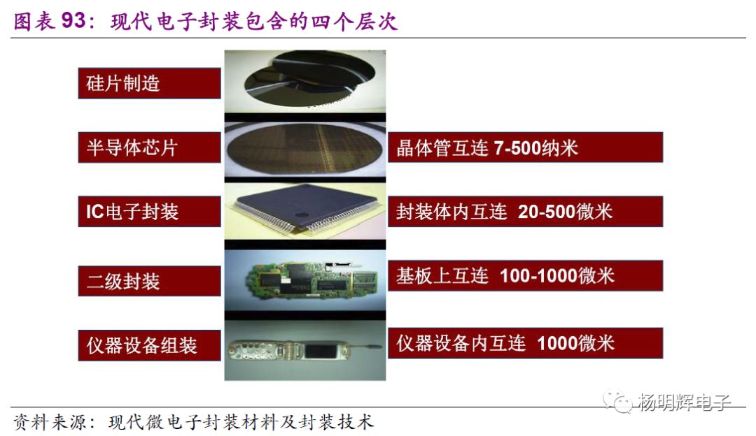 2024国际塑料展最新动态与深度解读