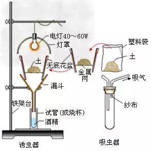 常用的流化床干燥器有哪几种?各有什么有优缺点?