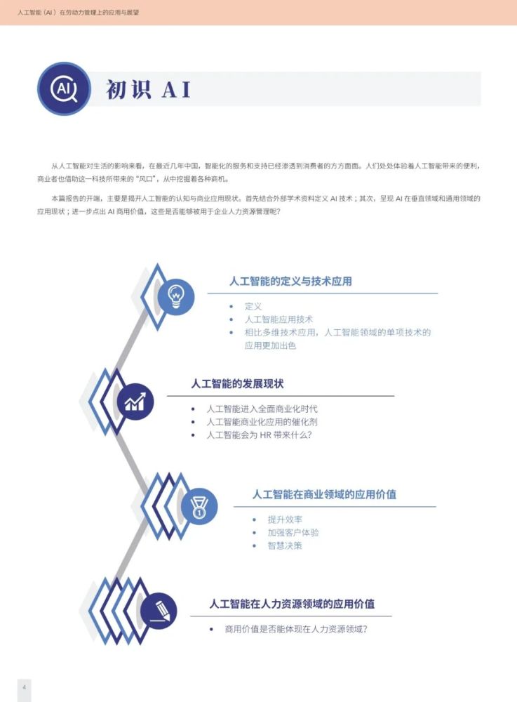 Savimer系列防护膜 第4页